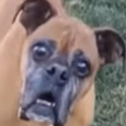codybc