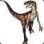 Utahraptor33