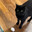 JonJon (Varsity) {velk.ca} avatar