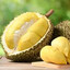 Durian