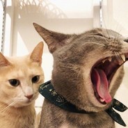 还好我技高两筹