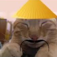 Gato chino avatar