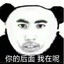 你的后面我在呢