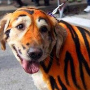 jacob - steam id 76561198262619107