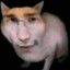 Catiplier