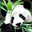 Pandamonium