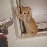 Haplo - steam id 76561197970633062