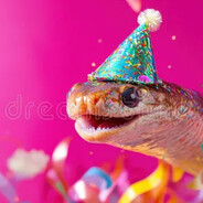 Party Eel