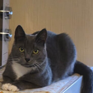 Cemaprocat avatar