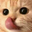 Meow