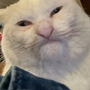 EvilAVP