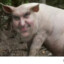Ctrl_olaf_Picken123