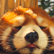 土拨鼠进攻罗马食堂