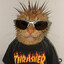 Mike Hawk