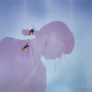 jo - steam id 76561198240729962