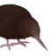 A Simple Kiwi