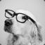 Hipster dog