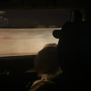 『Seven ❦ 』皮皮