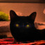 Shodan