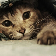 谁不在改变，改变就得应该就得改变