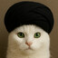 Ayatollah Meow