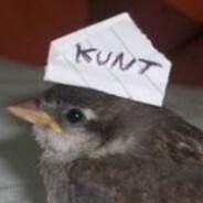 Equinox1354's avatar