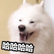 摸鱼耶