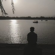 一腔诗意喂了狗丶