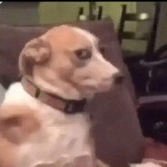 不拉热乎我不吃