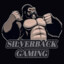 Silverback Gaming