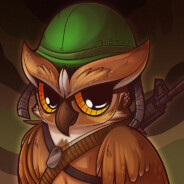 WarOwl - Solo Q To Global