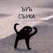 kaz