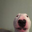 Toqato