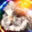 fynn14_04