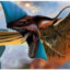 Toruk_Makto