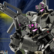 乐队里不需要的猫猫