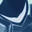 Fortune's Avatar