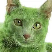 kolor zielony miau miau