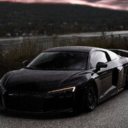 Audi Enjoyer