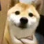 长泽