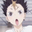 noya