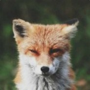 没钱拯救艾泽拉斯了