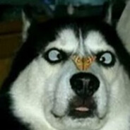 三国孝子吕奉先