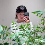 Big Avatar