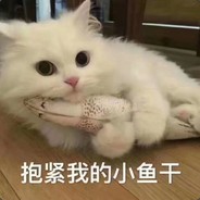 队友倒地我看戏，我是涂涂小淘气