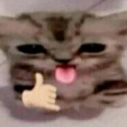 catgirl tomboy hunter