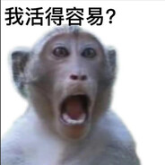 金足印象大堂经理邱师