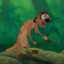 Timon