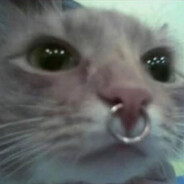 twitch.tv/balaklavafps