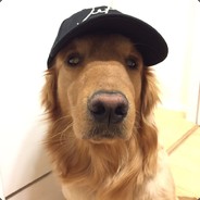 人菜瘾大嘴还硬